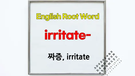 영단어 어근 irrit- 2026: 짜증, 자극의 어원 완벽 분석