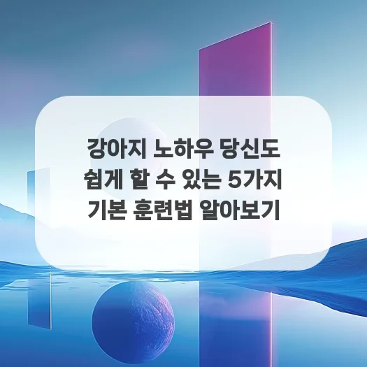 강아지 기본 훈련 5가지, 2026년에도 통하는 쉬운 노하우