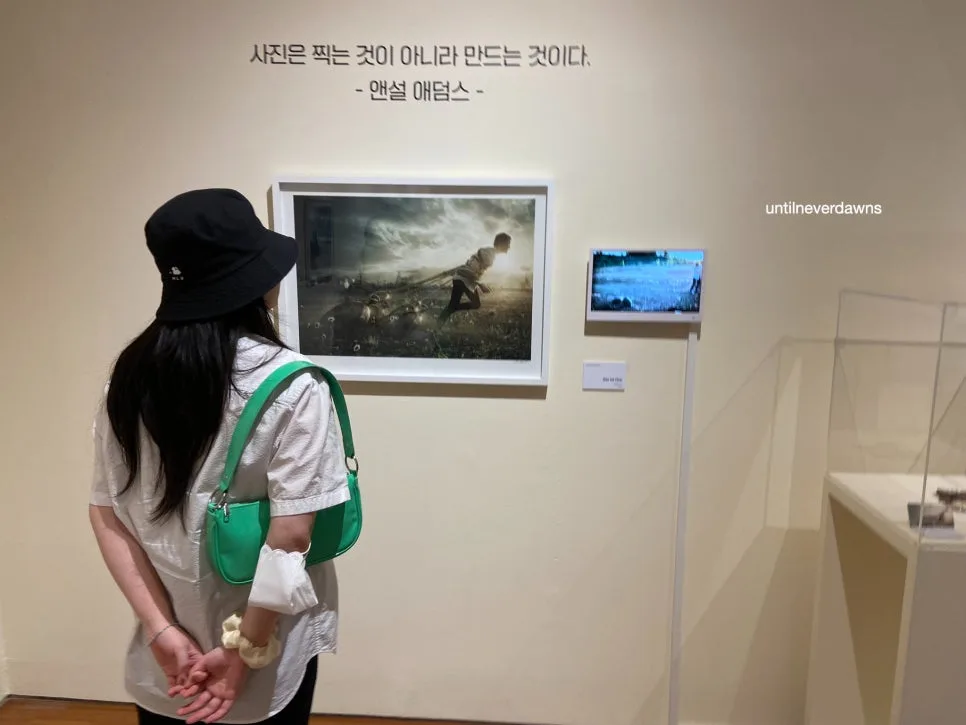 에릭 요한슨 사진전 2026: 놀라운 착시 사진의 비밀 파헤치기