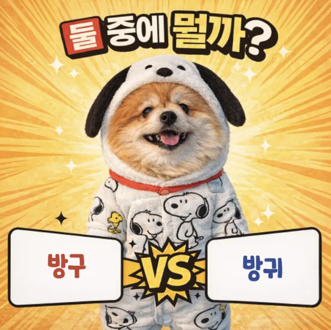 방귀 vs 방구, 2026년 표준어 규정으로 알아보는 올바른 표현