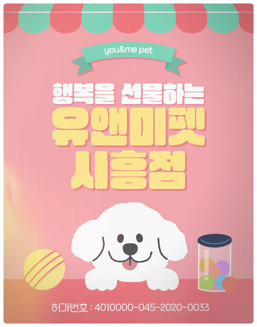 산본 토이푸들 입양 2026: 유앤미펫 경험 기반 완벽 가이드