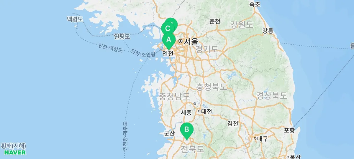 서울 고양이 분양, 2026년 새 가족 맞이 입양 후기 총정리