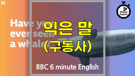 영어 숙어와 구동사: 고래 이야기로 배우는 2026년 최신 표현