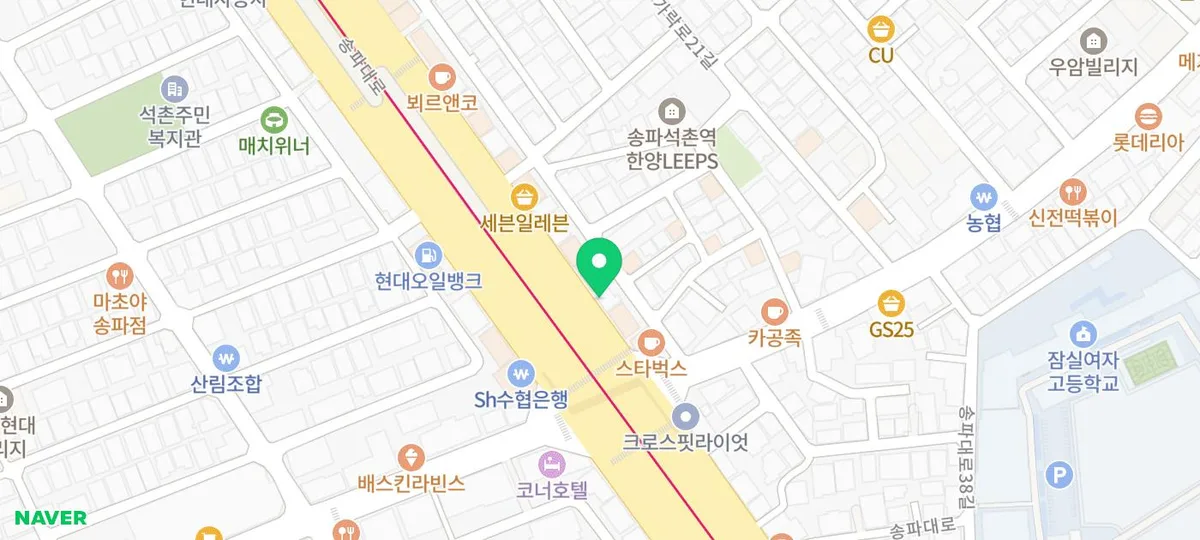 보더콜리 분양 가격 2026년 현실적인 정보와 입양 후기