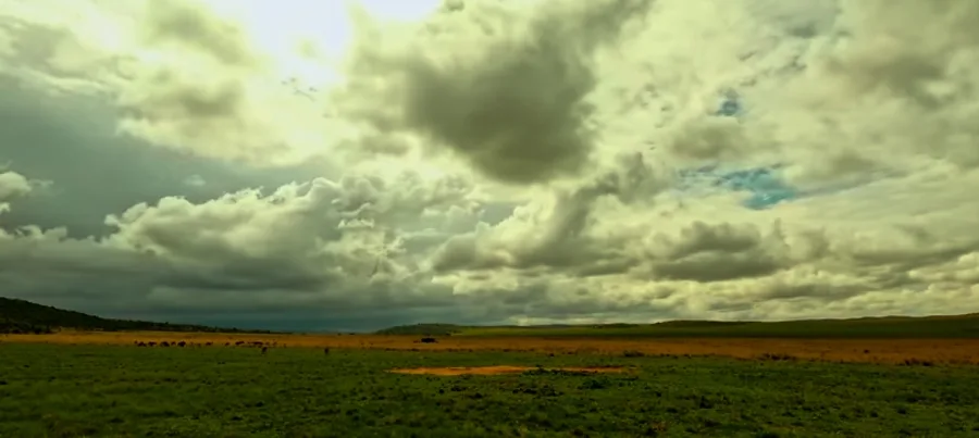 21 Grams: Exploring the Soul's Weight & Meaning of Life (2026)