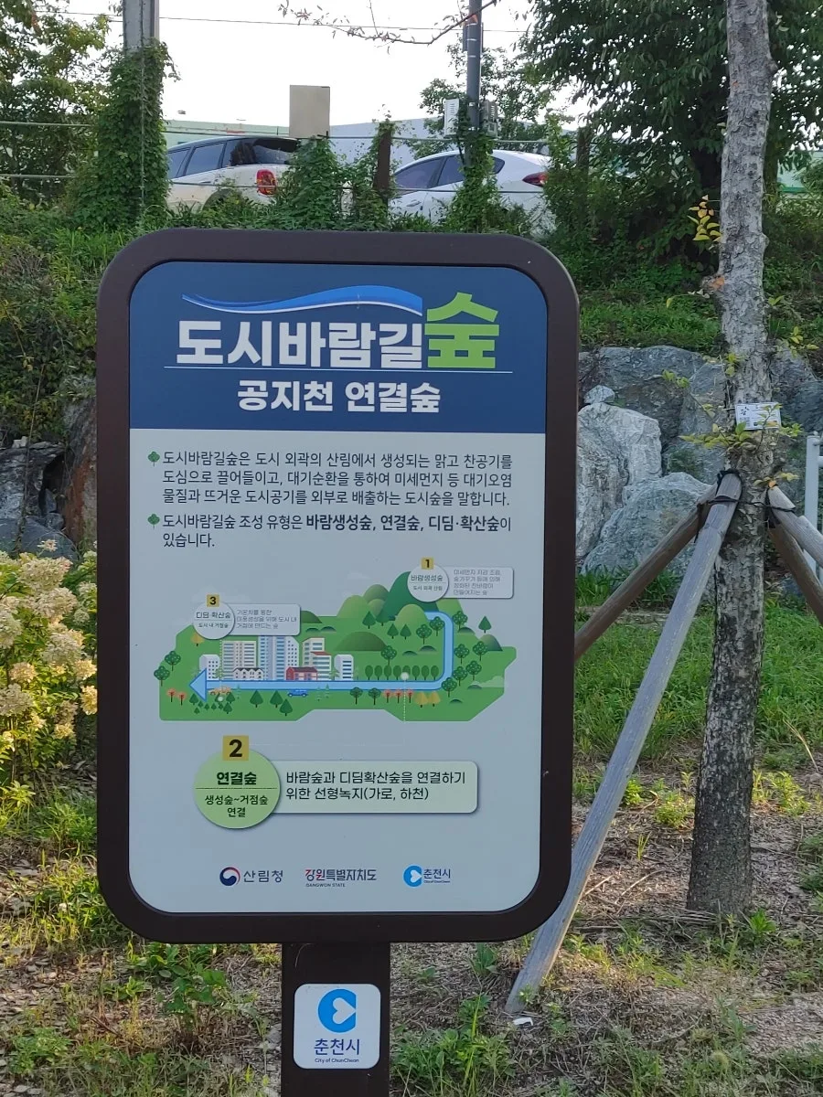 춘천 여행 코스 2026: 공지천 산책부터 야시장까지 완벽 정리