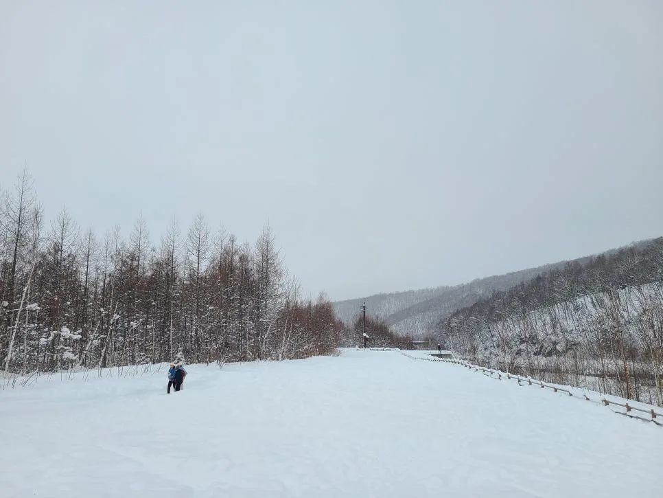 Best Winter Travel Destinations 2026: Korea, Japan, Spain