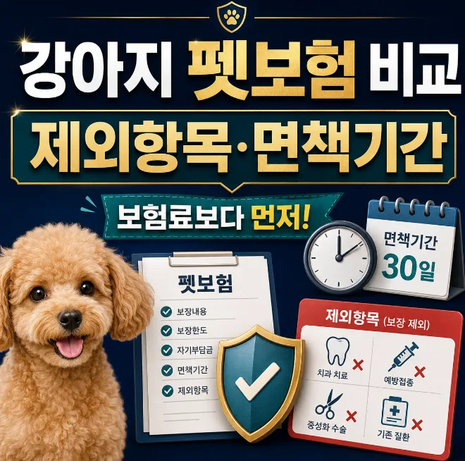 2026년 강아지 펫보험 비교: 슬개골·치과 보장 제외 항목 필수 확인법