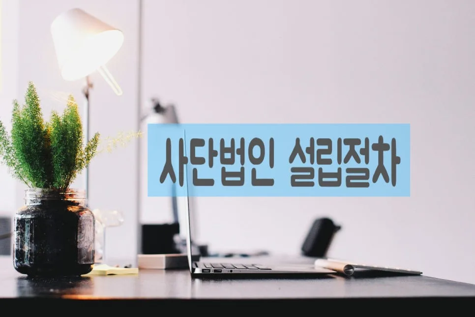 비영리사단법인 설립 허가기준 및 절차 완벽 분석 (2026)