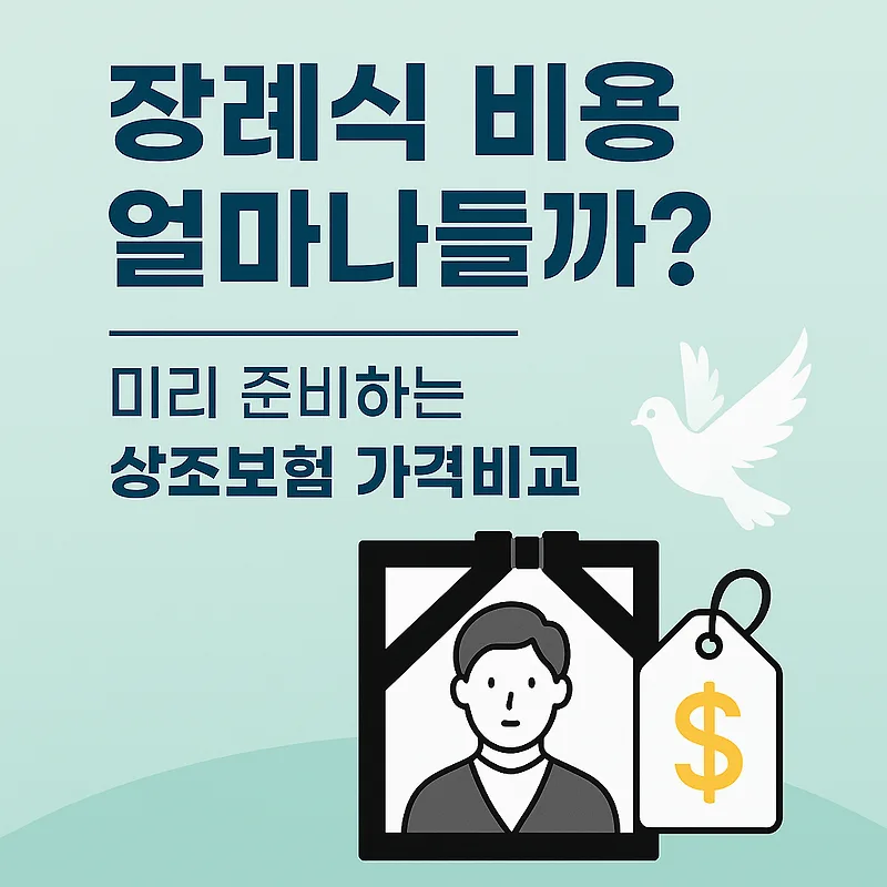 2025년 장례 비용 현실화: 상조보험 5곳 비교 분석