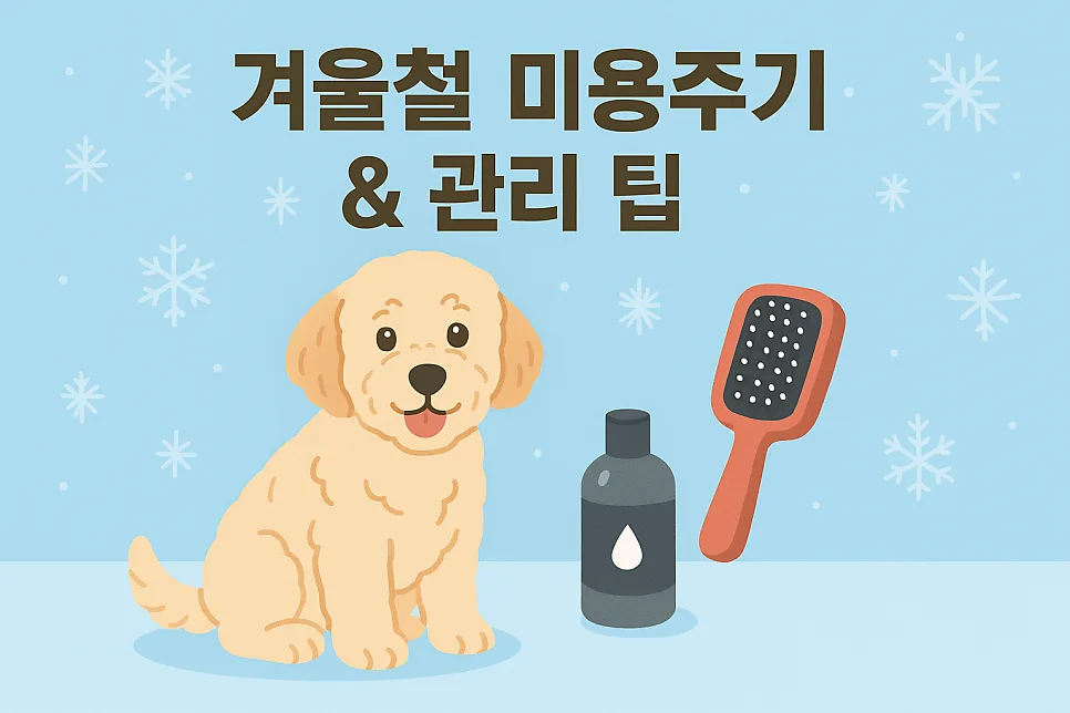 2026년 겨울 강아지 미용 주기와 관리법: 최적의 체크리스트