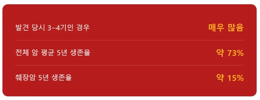 췌장암 치료비 현실 2026: 비급여 항암제 비용과 보험 준비법