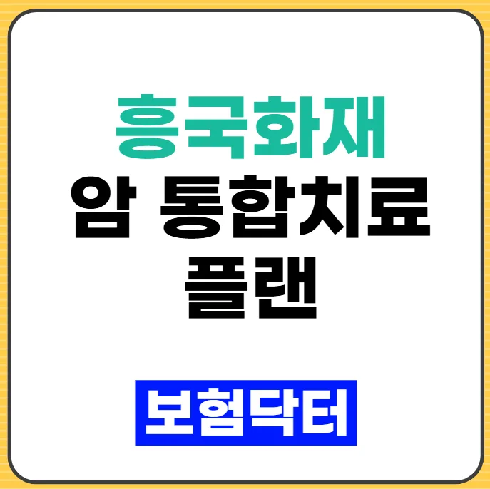 흥국화재 암 통합치료 플랜 2026: 보장 범위와 월지급형 비교