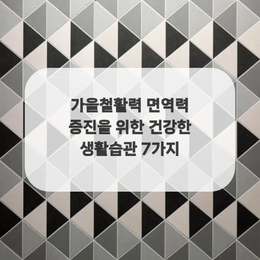 가을 활력 면역력 높이는 건강 습관 2026년 총정리