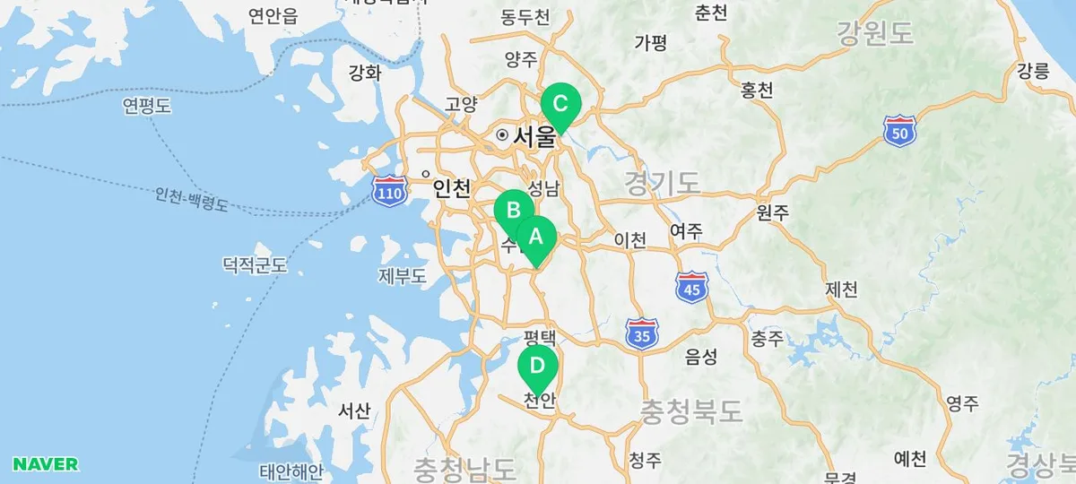 스코티쉬 폴드 입양 전 필수 체크리스트 2026: 유전병부터 분양가까지