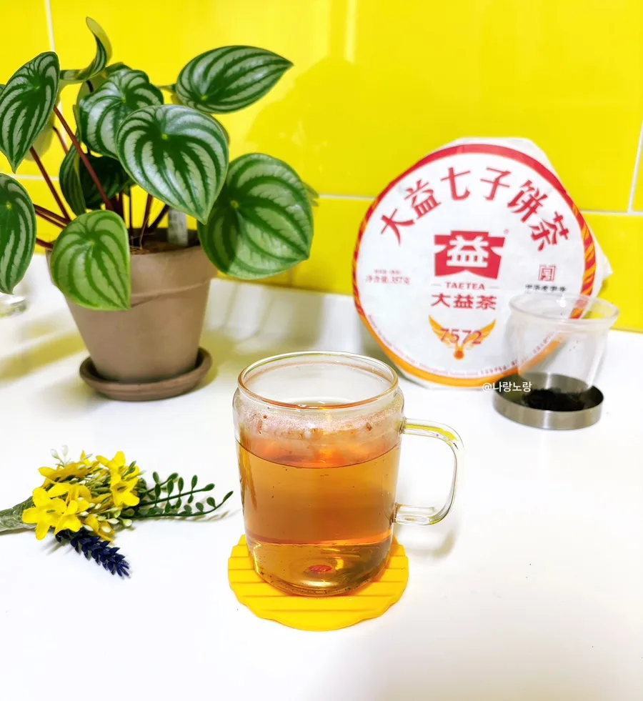 Pu-erh Tea 7572 Benefits & Brewing Guide 2026