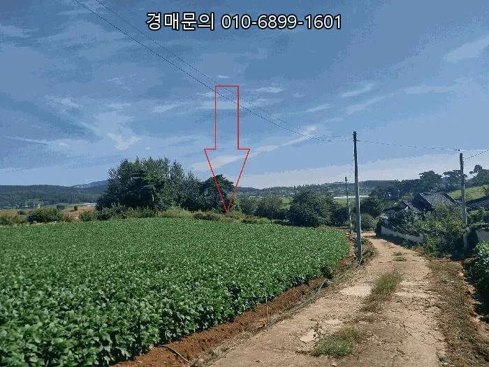 전북 부안 토지 경매 2026: 1회 유찰, 70% 최저가 투자 기회