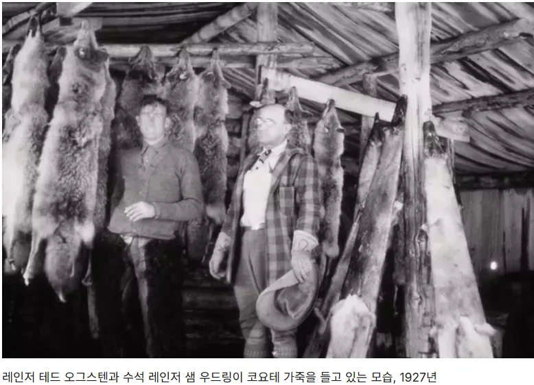 2026년 5월 9일 양도세 중과 배제? 부동산 시장 변화 총정리