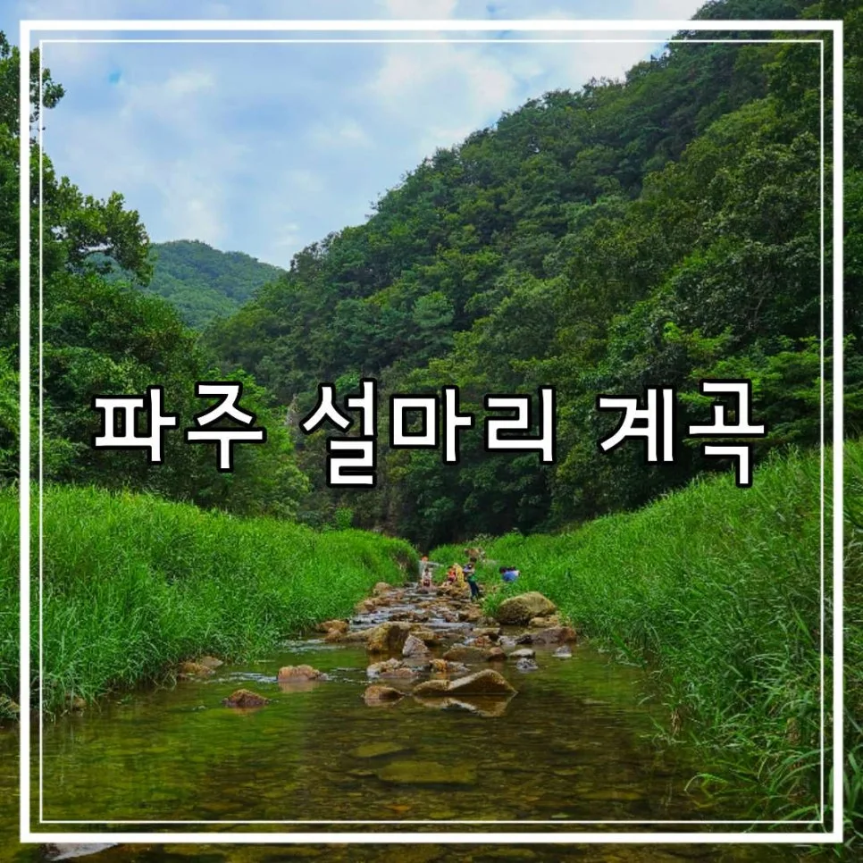 파주 설마리 계곡 당일치기 물놀이 완벽 가이드 2026