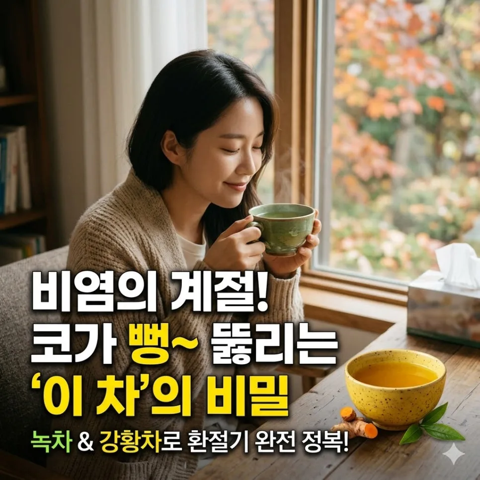 비염 증상 완화 차 2026: 녹차·강황차 항염 효과와 활용법
