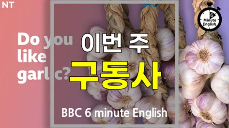 Master Korean Phrasal Verbs: Specialize vs. Find Out (2026)