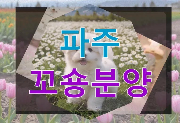 파주 꼬숑분양 숨은 비용과 현장 후기 총정리 (2026)