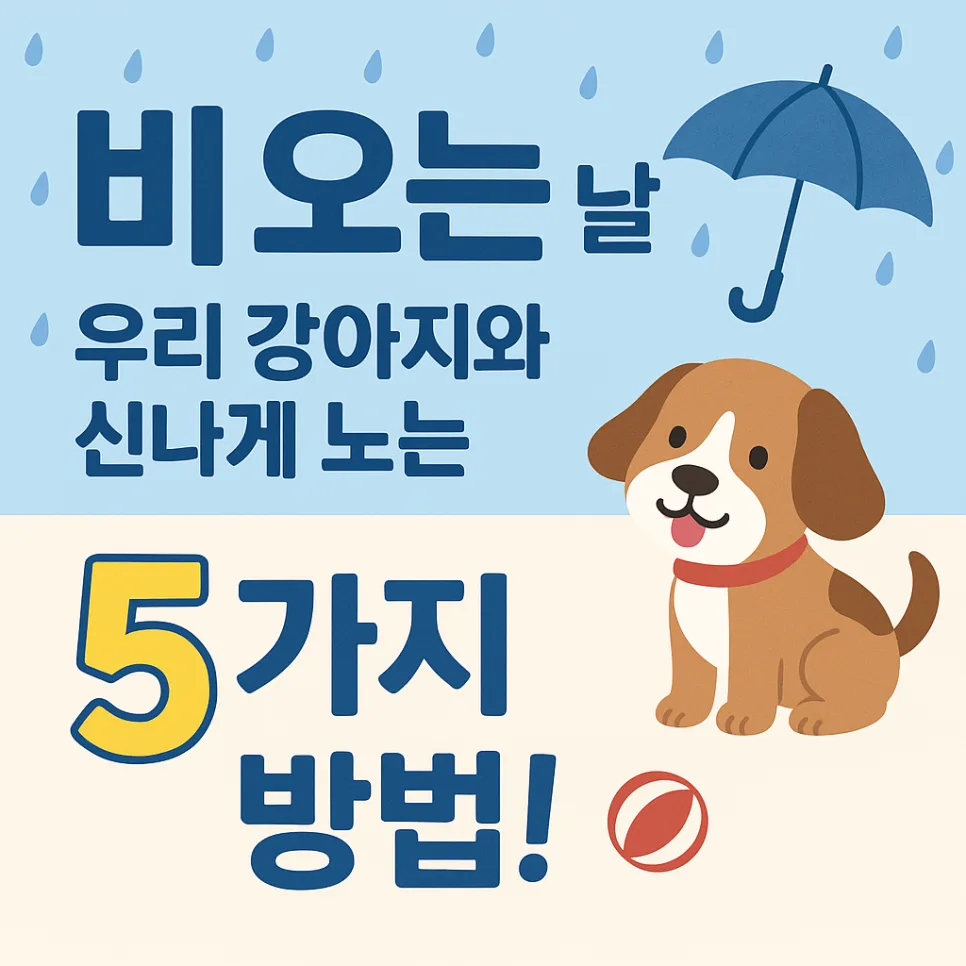 2026년 비 오는 날 반려견 실내 놀이 5가지: 우울함 날리는 교감법