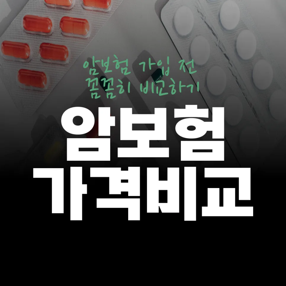여성암보험 비교 2026: 현명한 선택을 위한 필수 가이드 2