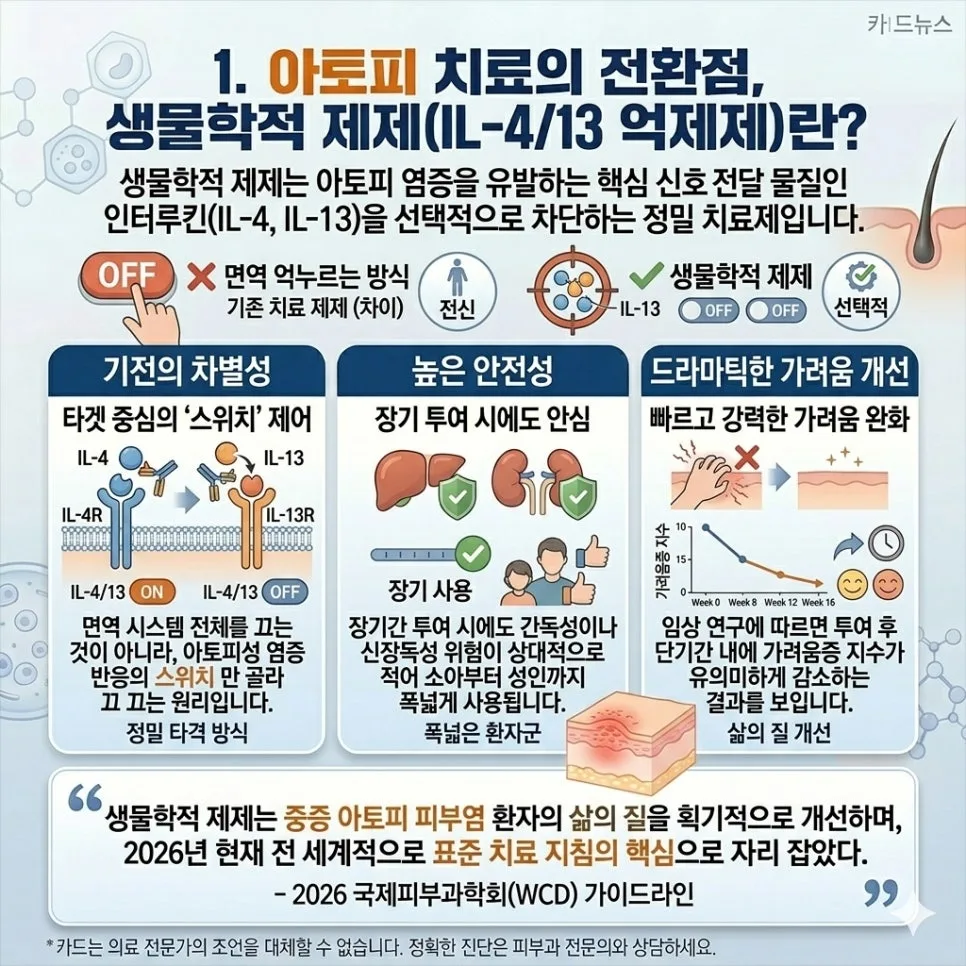 중증 아토피 치료제 급여 기준 2026: 산정특례 완벽 정리 2