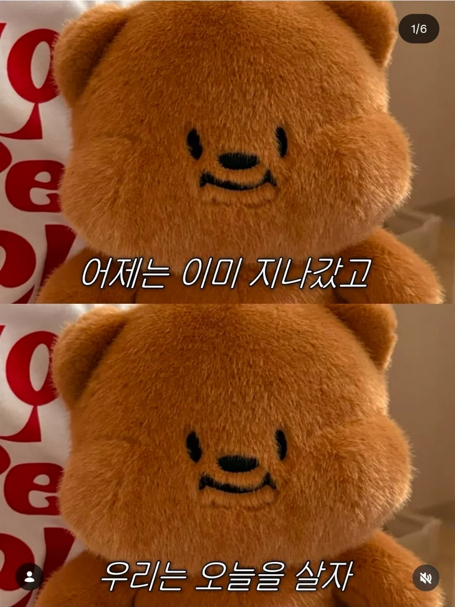 4월 일상 기록 2026: 벚꽃, 부여 나들이, 생일 축하까지