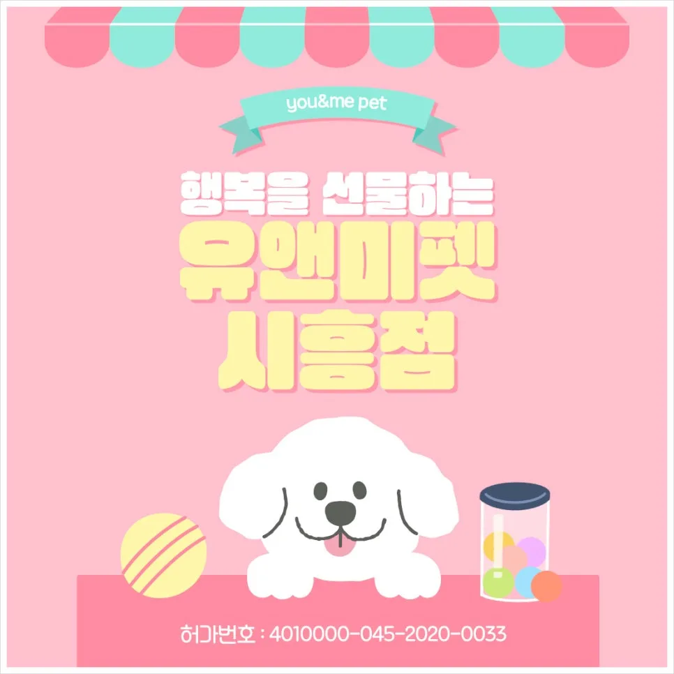하남 노르웨이숲 분양 후기: 대형묘 입양 경험 2026