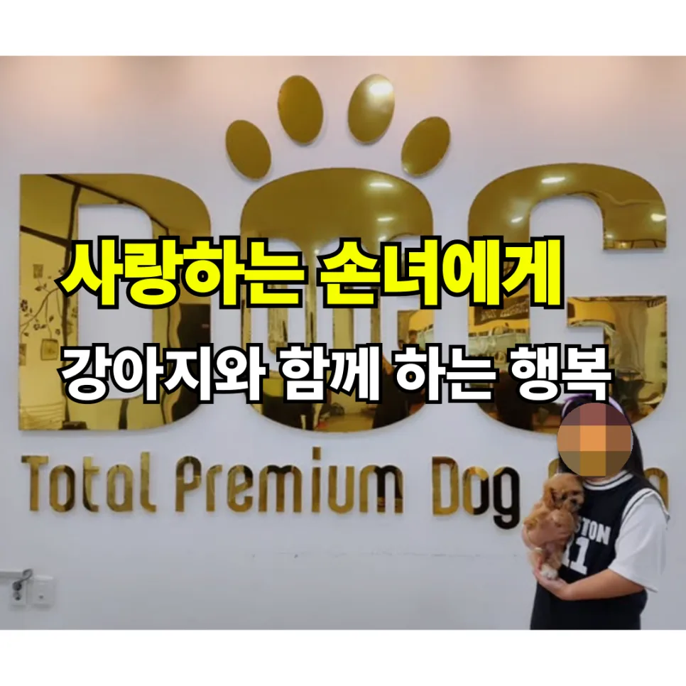 세종시 강아지 분양 2026: 포메라니안부터 토이푸들까지, 반려견 입양 가이드 2