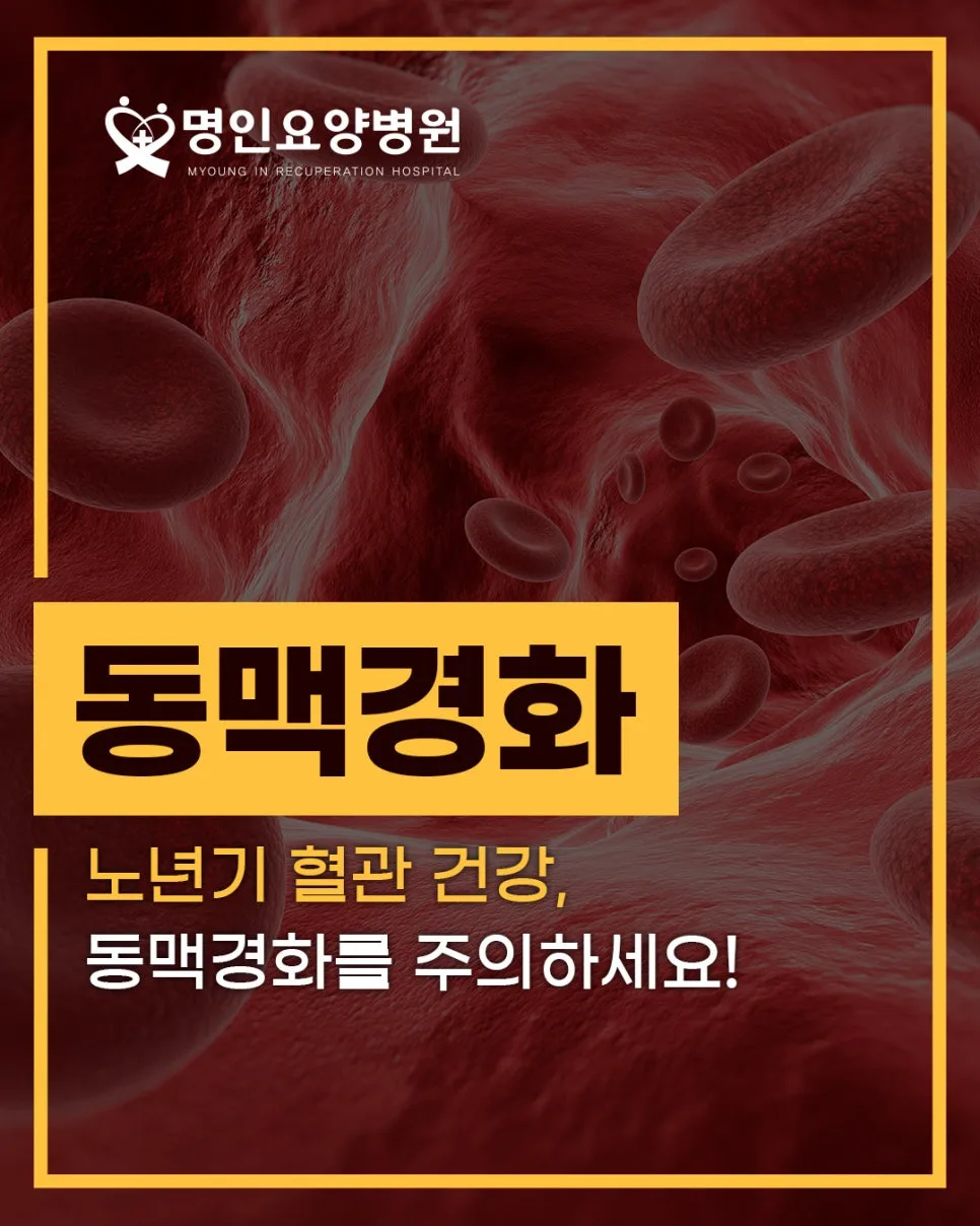 노년기 동맥경화 관리법 2026: 요양병원 전문가의 핵심 가이드