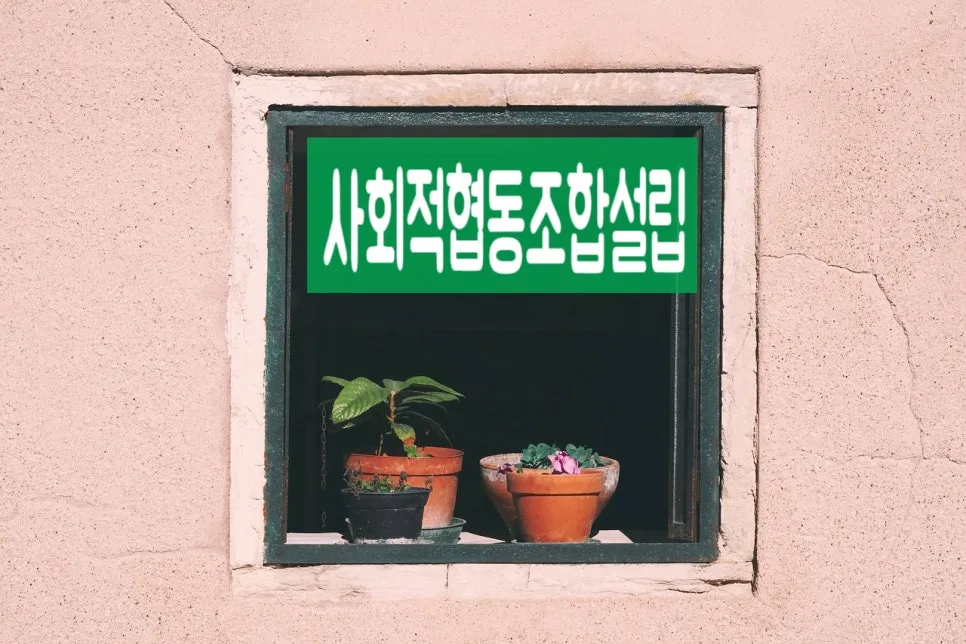 사회적협동조합 설립, 2026년 전문가가 뽑은 필수 절차 5단계