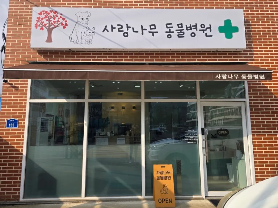 가평 강아지 중성화 수술 병원 추천: 사랑나무동물병원 후기 2026 2
