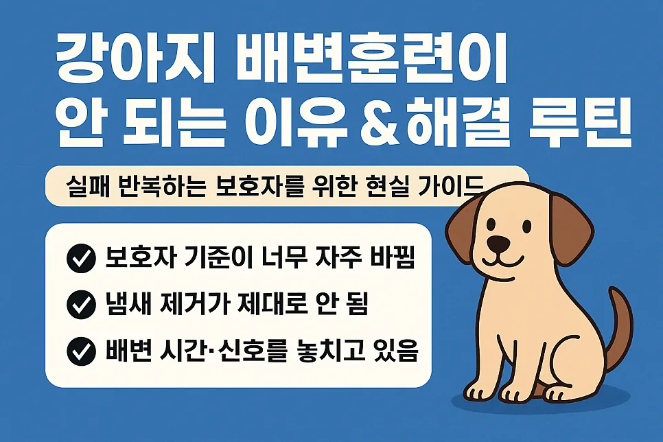 강아지 배변훈련 실패 원인과 성공 루틴 2026년 총정리
