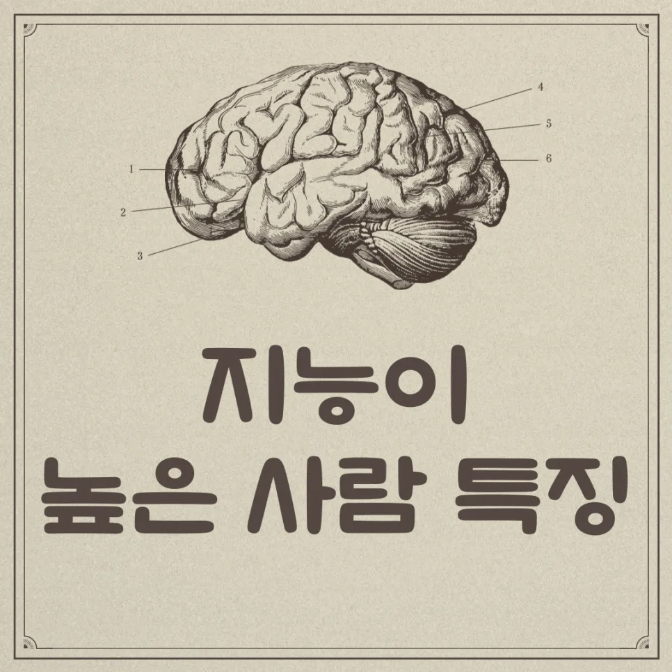 지능 높은 사람 특징 2026: 당신도 해당될까? 7가지 습관