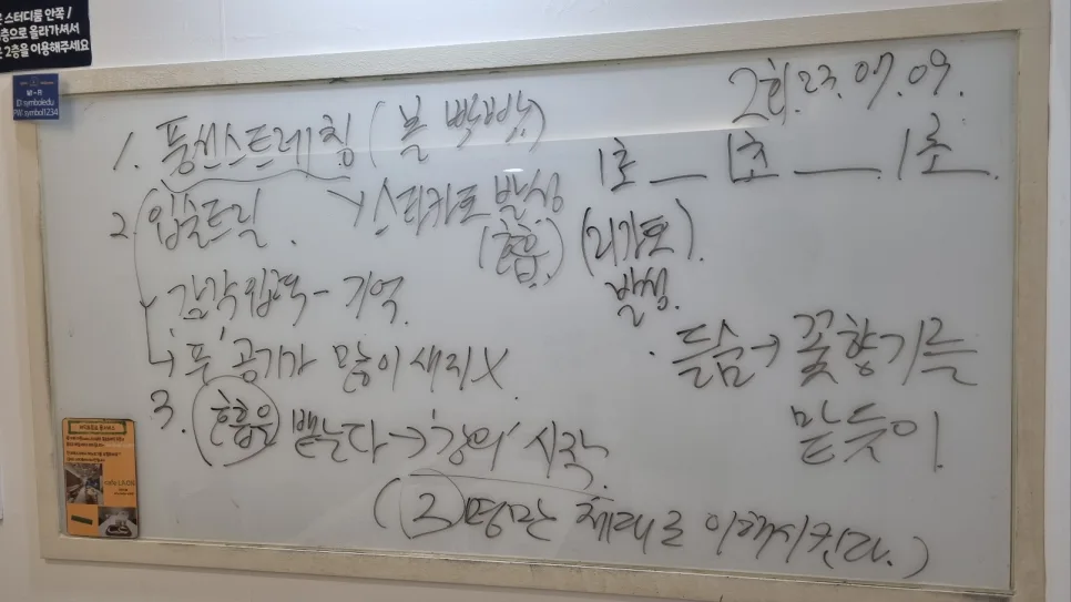 교육 강사 목소리 교정 2026: 부산 코칭 핵심 전략 2