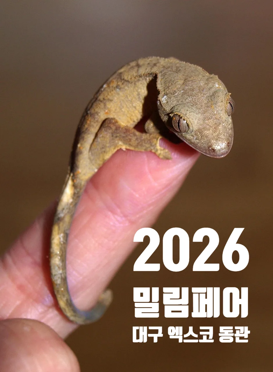 2026 밀림페어 파충류 박람회, 사전예약 혜택과 일정 총정리