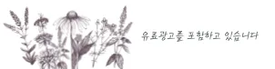 저보증금 단기 월세 계약 2026: 외국인도 쉬운 절차 총정리