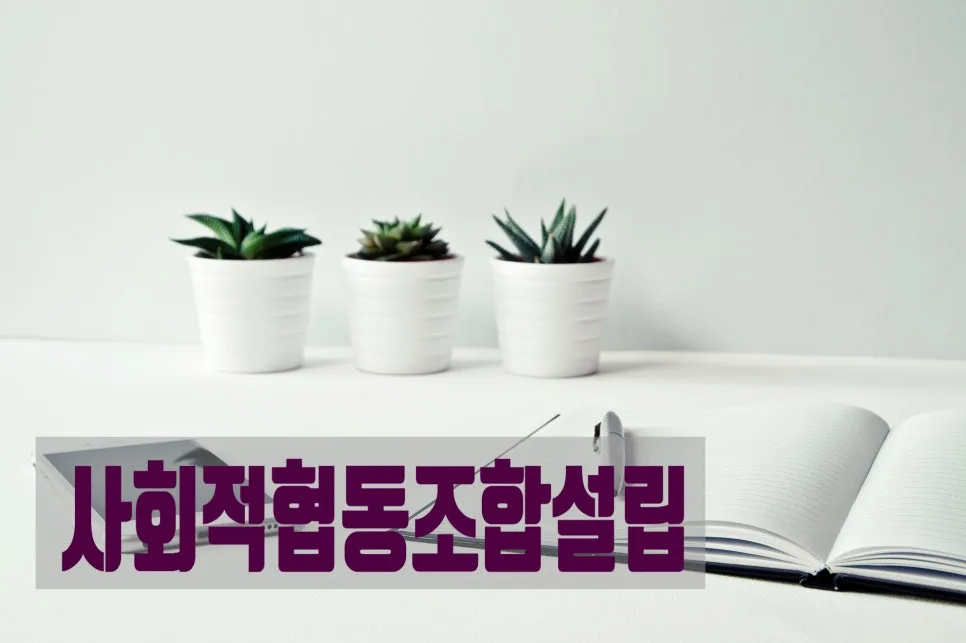다함께돌봄센터 사회적협동조합 설립 인가 절차 2026년 총정리