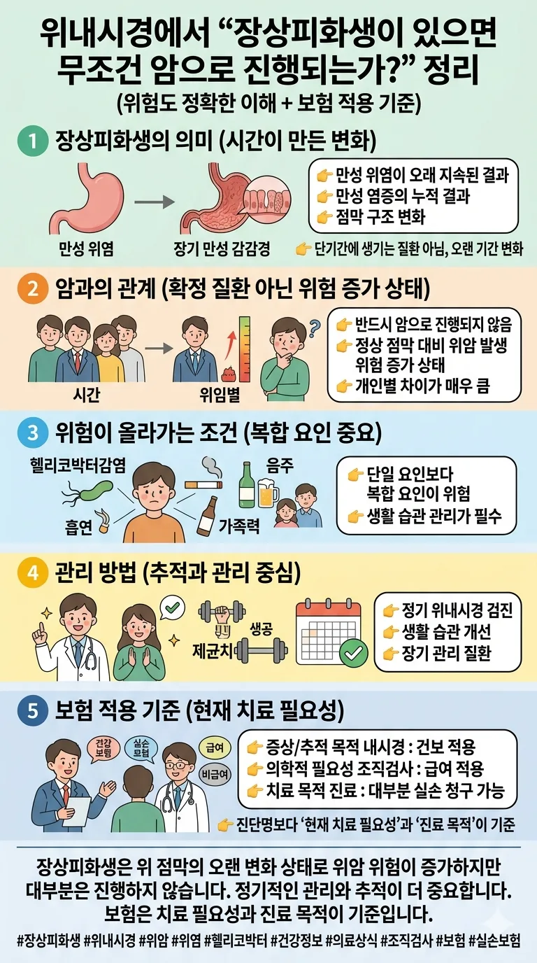 장상피화생, 위암 위험도와 보험 적용 2026년 총정리