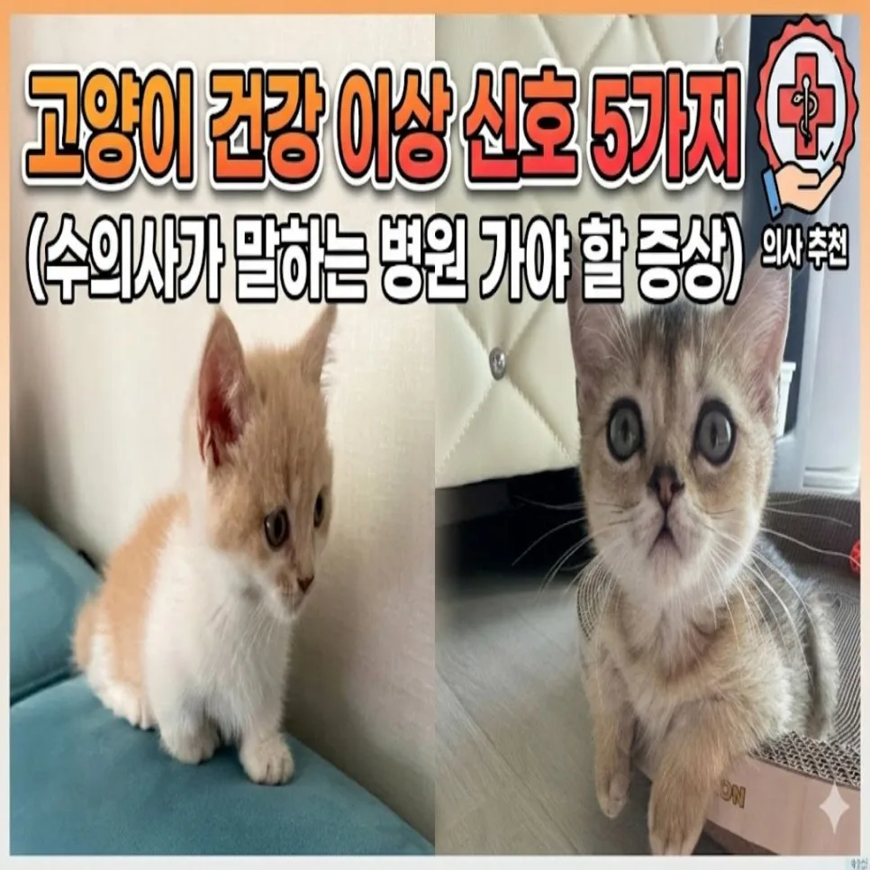 5 Cat Health Warning Signs: When to See a Vet in 2026