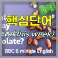 초콜릿 가격 인상, 왜 필요할까? BBC 영어 학습 2026
