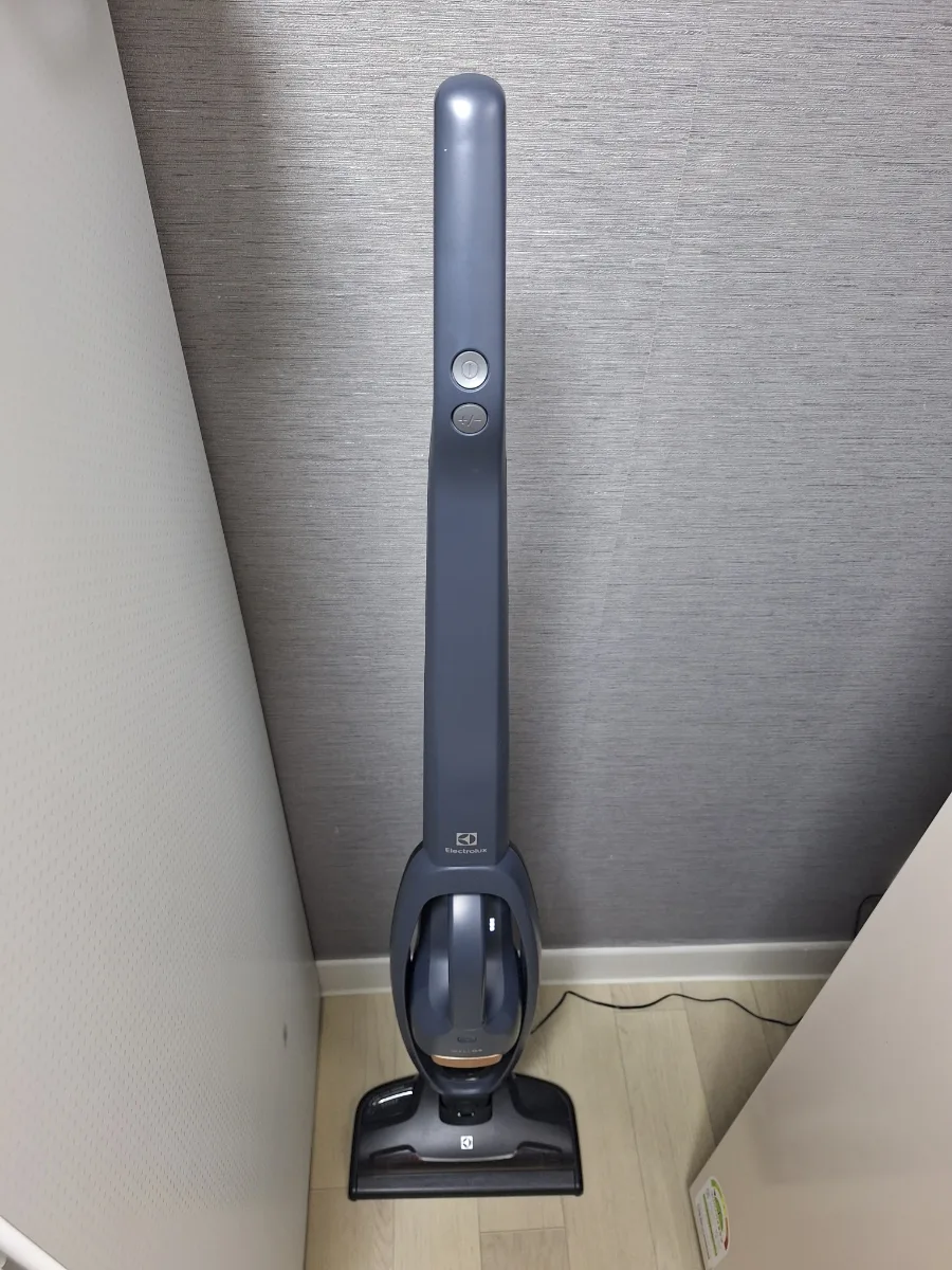 일렉트로룩스 무선 청소기 WQ61-1EDB, 2026년 실제 사용 후기