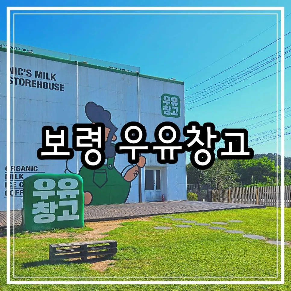 보령 우유창고 2026: 카페·목장 체험 완벽 가이드