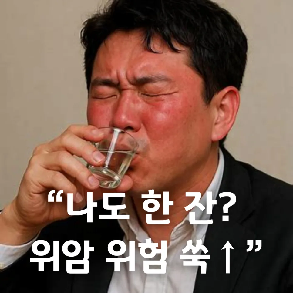 음주 습관 변화, 위암 위험 14%↑? 2026년 최신 연구 결과