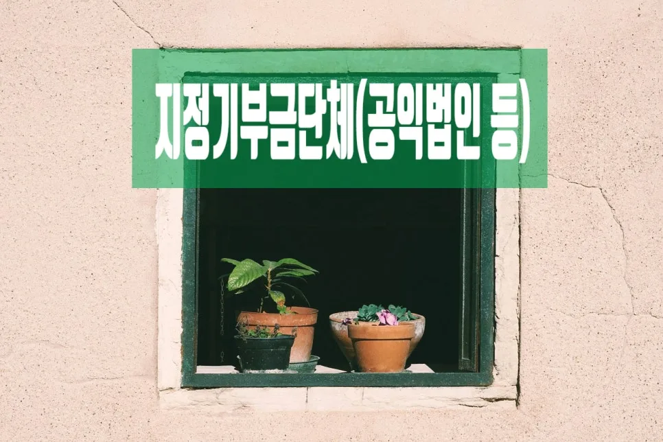 지정기부금단체 신청 조건 및 절차 완벽 가이드 2026