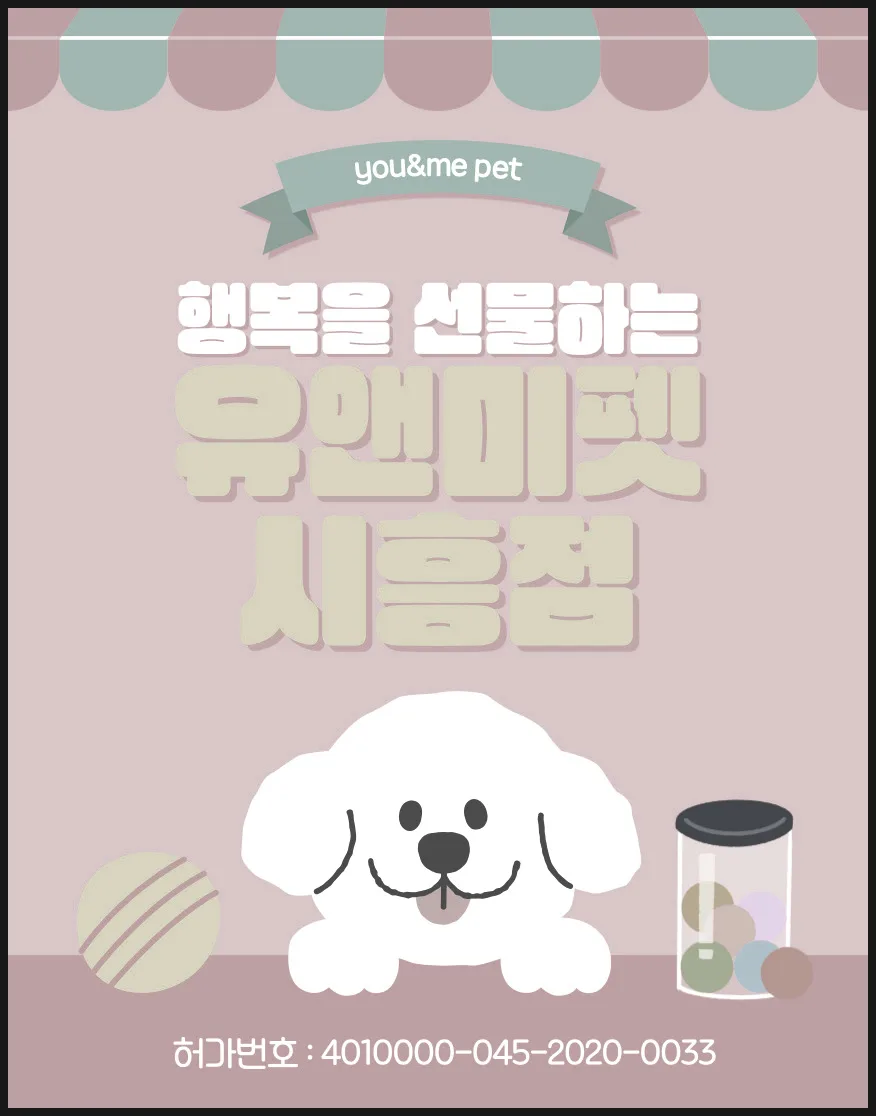 광명 토이푸들 분양 2026: 똑똑한 반려견 입양 후기 및 체크리스트
