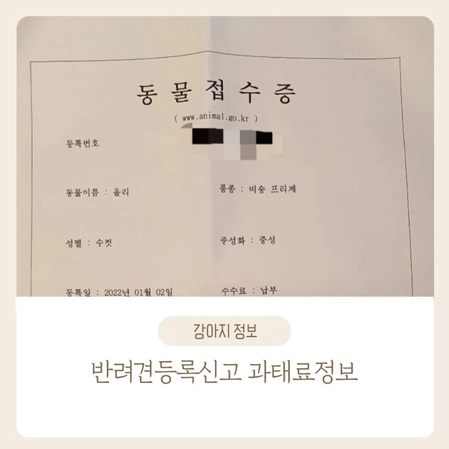 반려견 미등록 시 과태료 얼마? 2026년 총정리